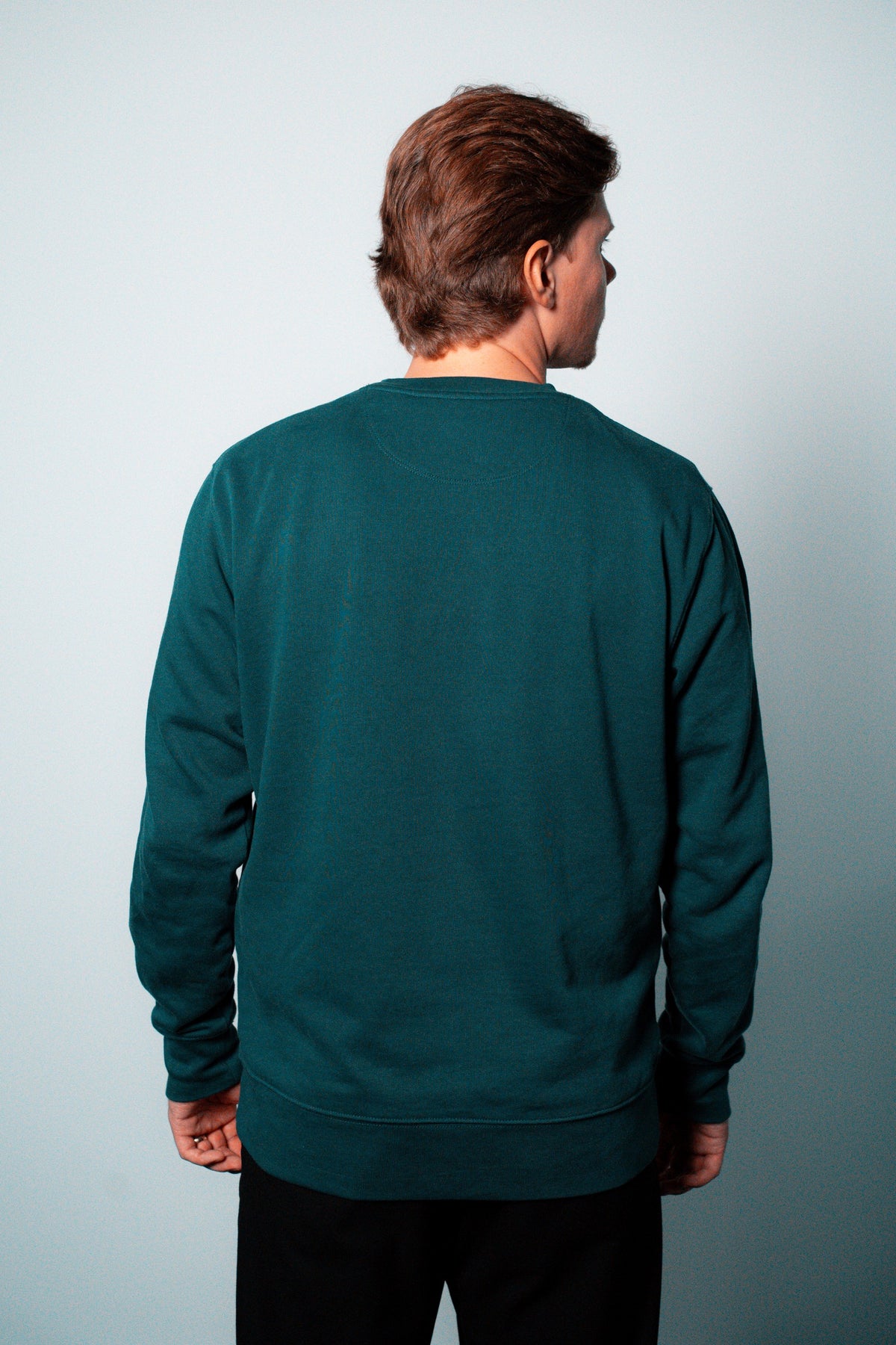 FOA green sweatshirt, back view worn on a model.